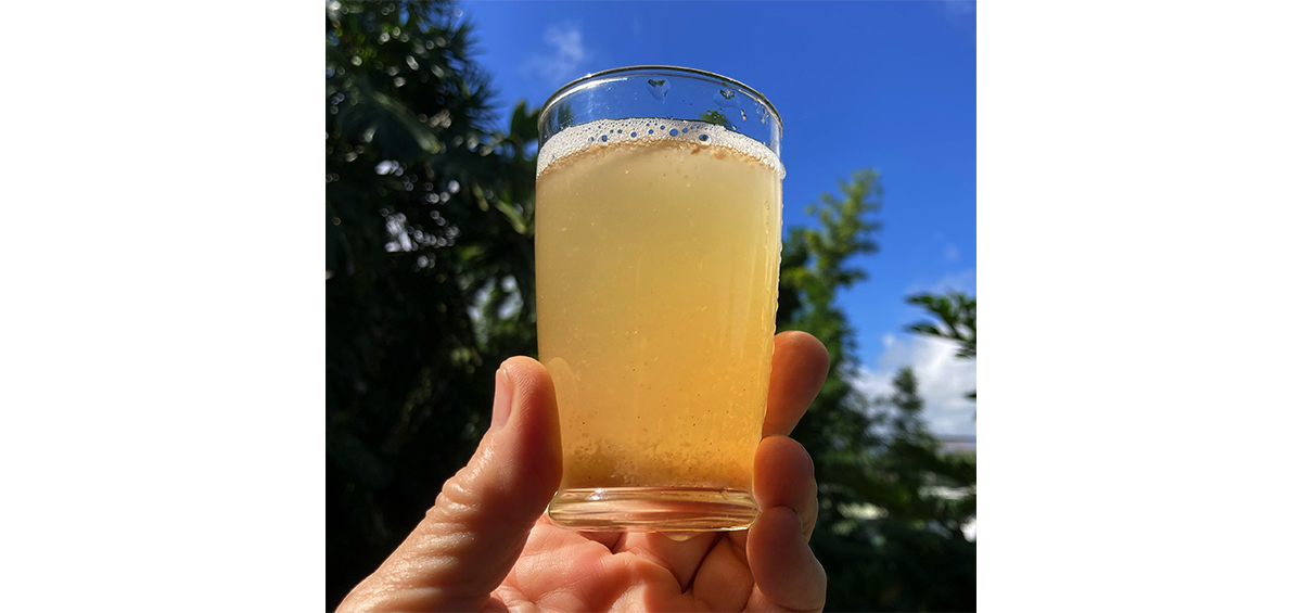 Photograph showing a glass of tepache